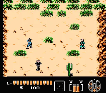 Lone Ranger, The (USA) screen shot game playing